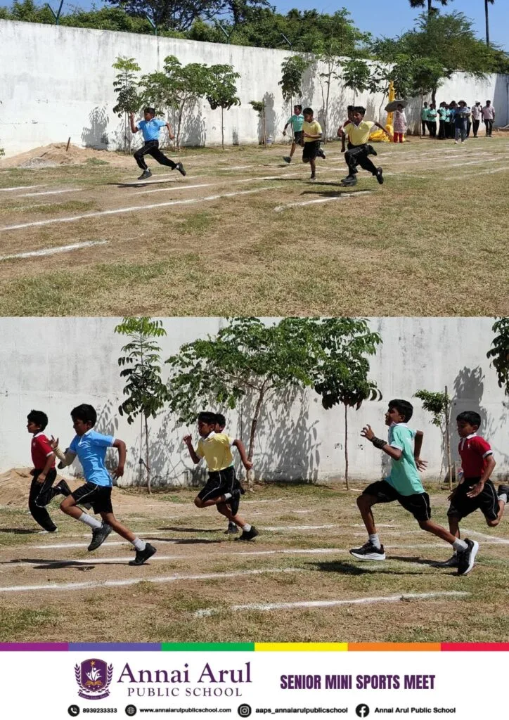 Senior Mini Sports Meet22